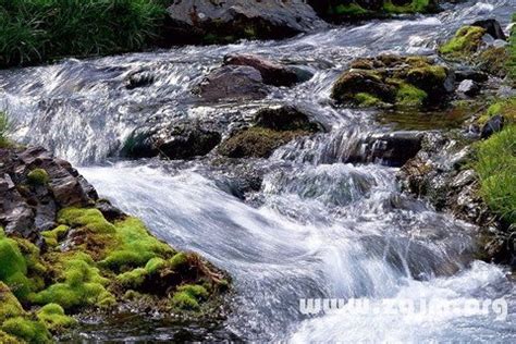 夢見溪流|夢見水